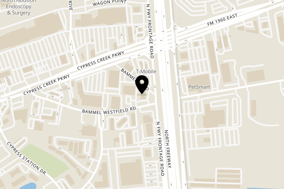 Map showing the location of Taquerias Arandas Spring on 231 FM 1960 W in Houston
